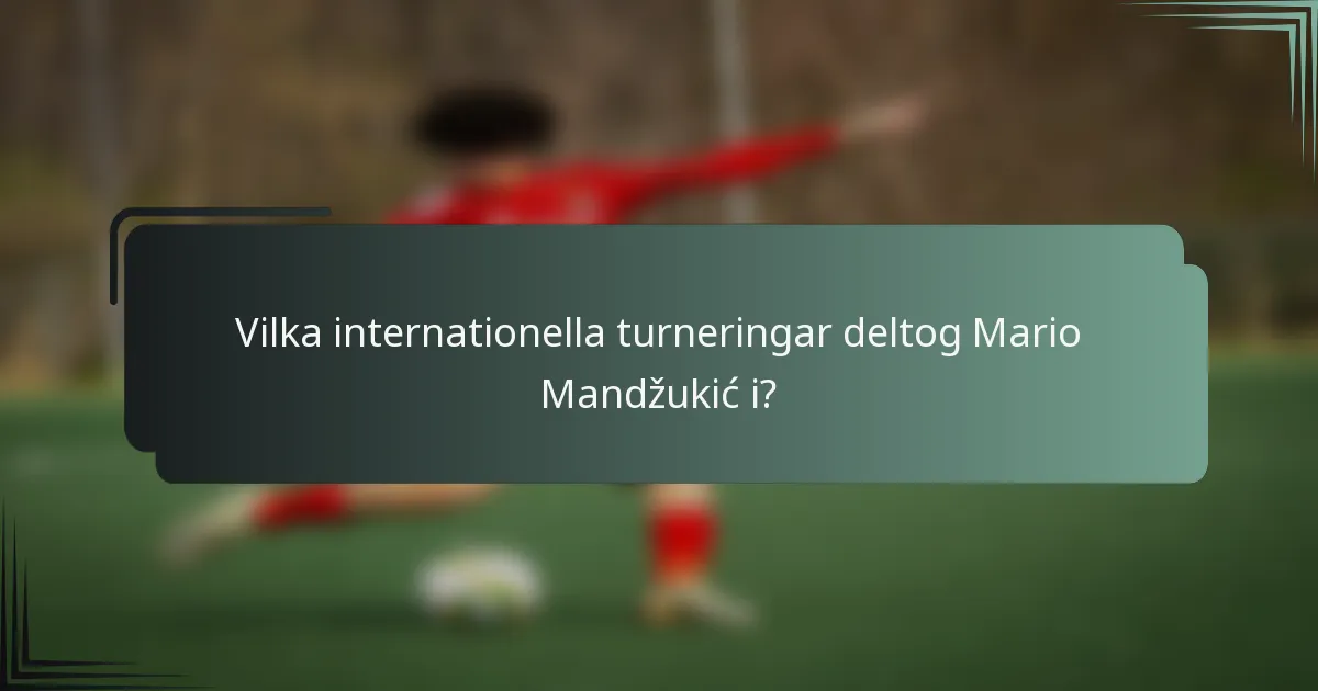 Vilka internationella turneringar deltog Mario Mandžukić i?