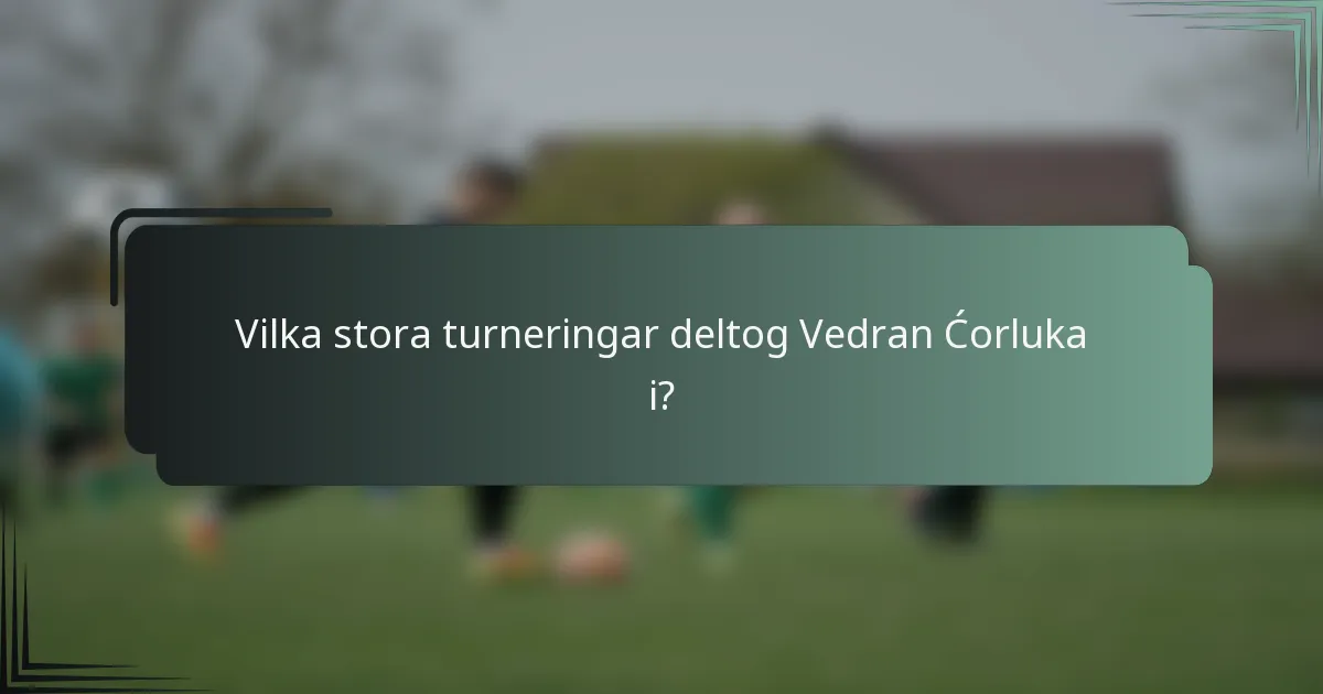 Vilka stora turneringar deltog Vedran Ćorluka i?