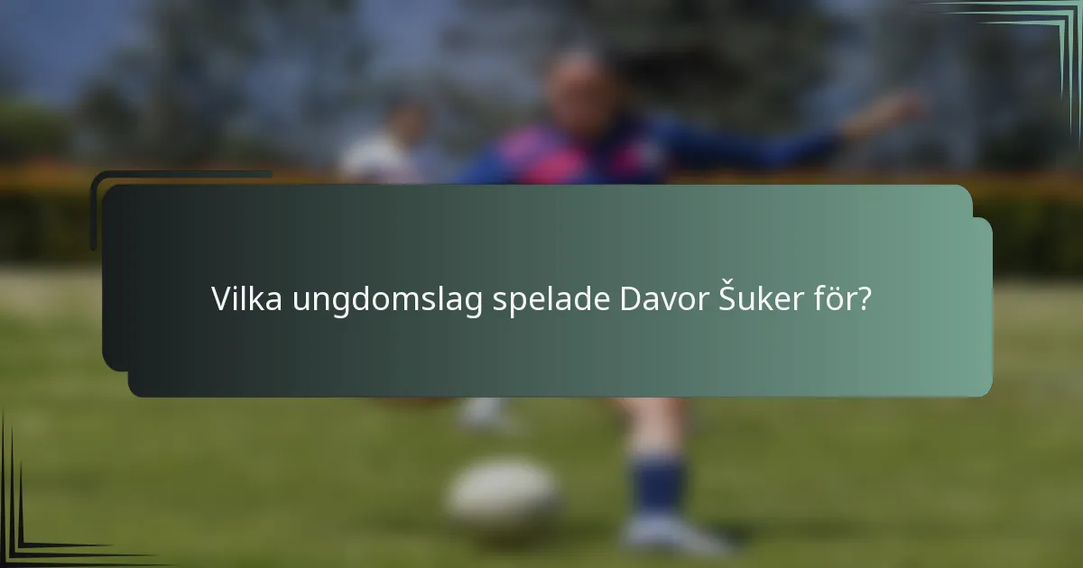Vilka ungdomslag spelade Davor Šuker för?