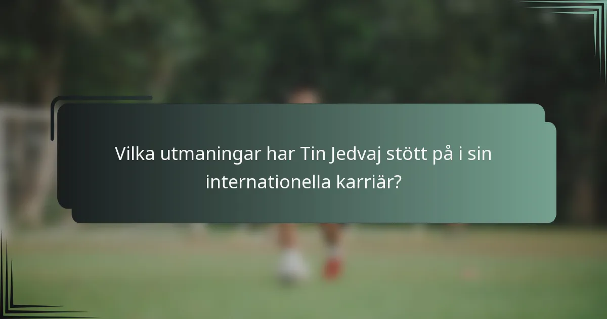 Vilka utmaningar har Tin Jedvaj stött på i sin internationella karriär?