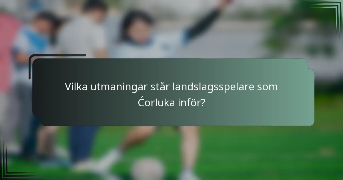 Vilka utmaningar står landslagsspelare som Ćorluka inför?